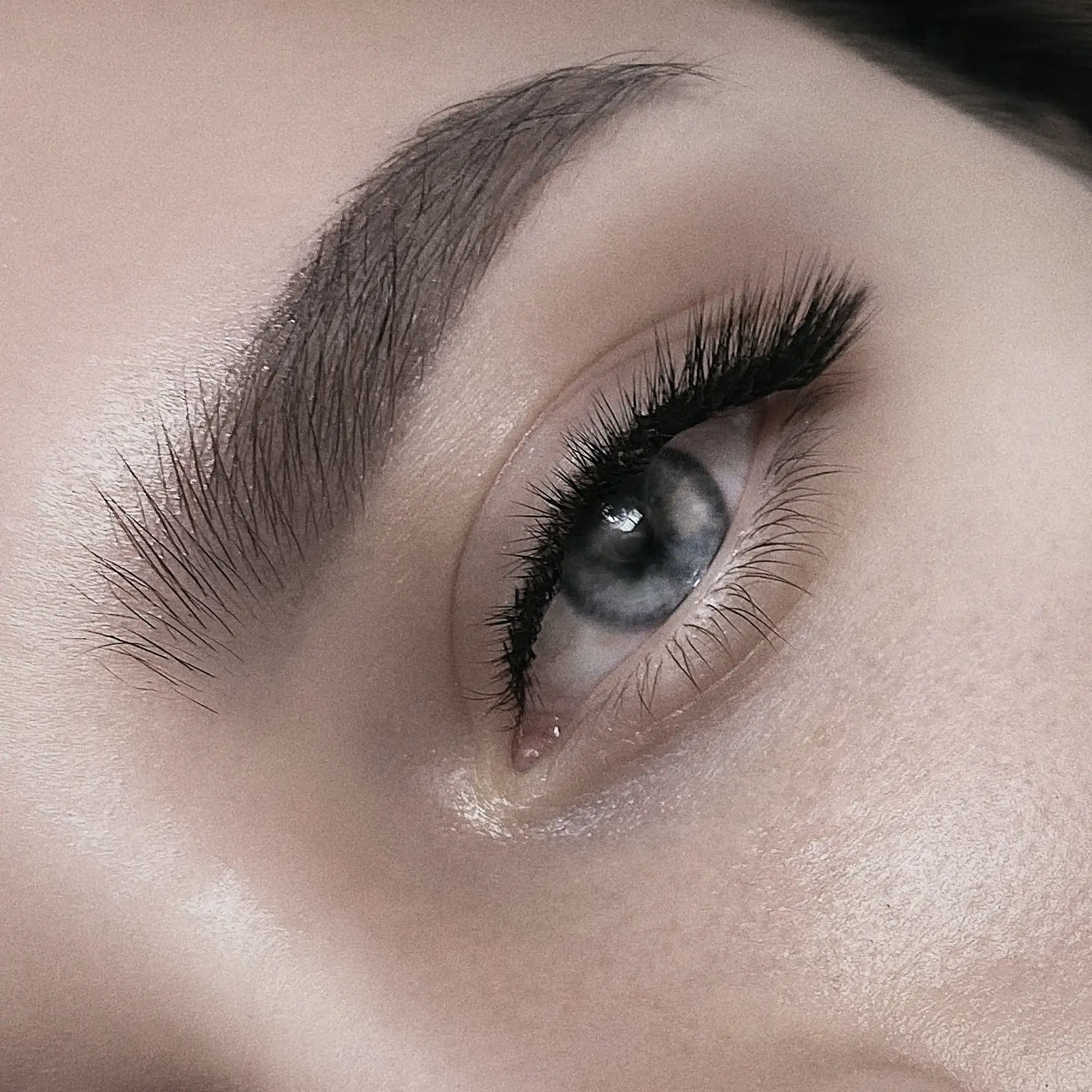 Augenbrauen und Wimpernserum