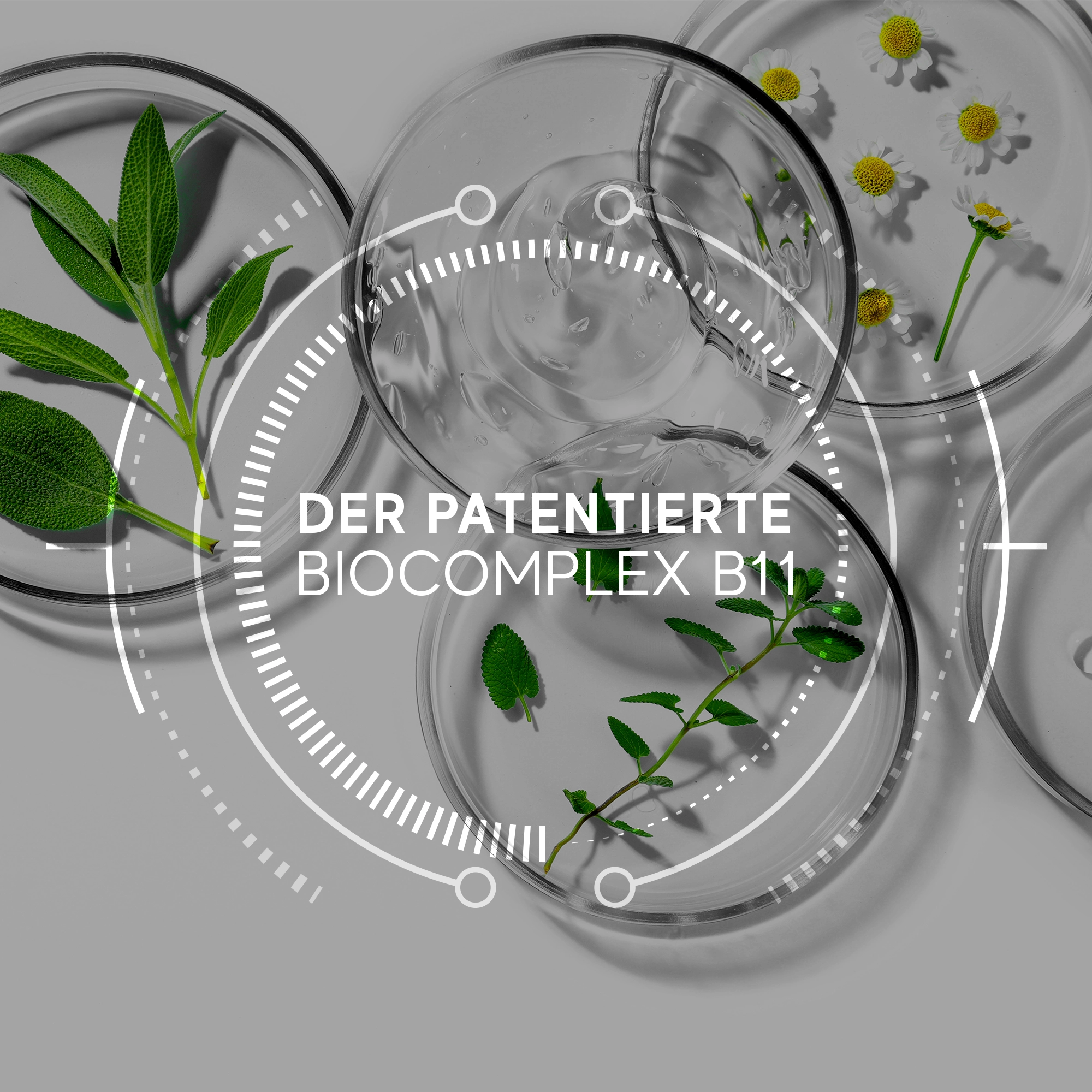 Patentıerter Bıocomplex B11