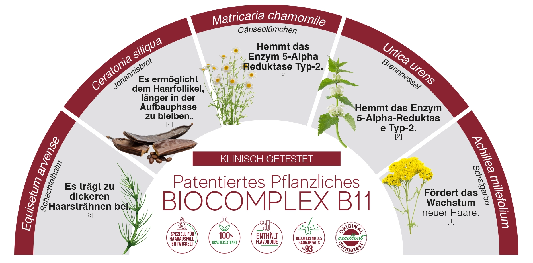 Biocomplex B11