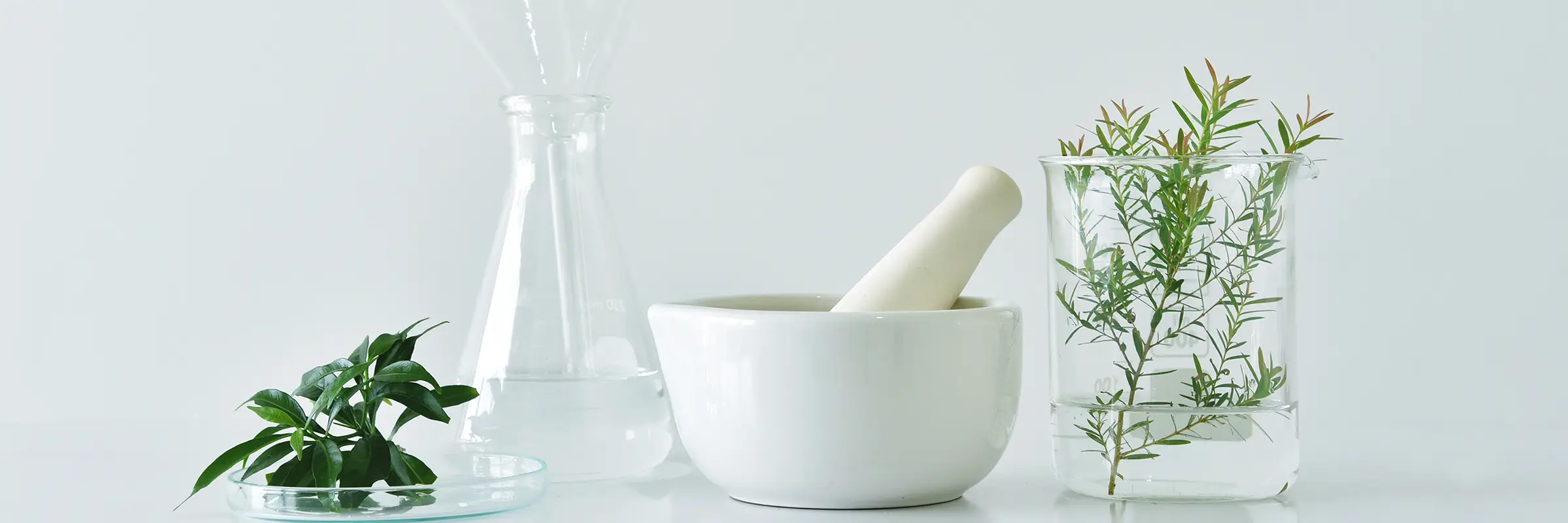 FORSCHUNG UND ENTWİCKLUNGSZENTRUM