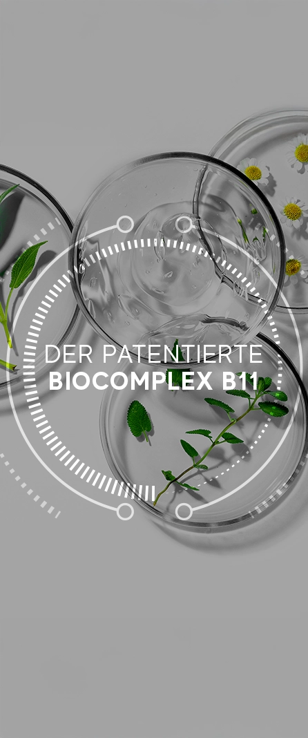 Was ist BioComplex B11?