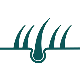 Hilft, Haarausfall zu verhindern.