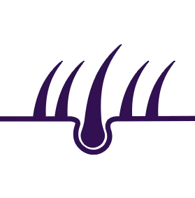 Es stärkt das Haar.