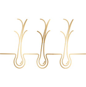 Geeignet für trockenes und geschädigtes Haar.