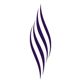 Es macht das Haar dicker und dichter.