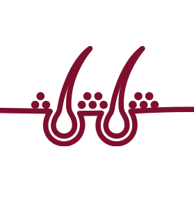 Pflegt und stärkt die Haarfollikel.