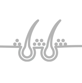 Es stärkt die Haarfollikel und schützt vor Haarausfall.