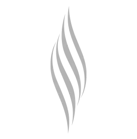 Es macht das Haar dicker und dichter.