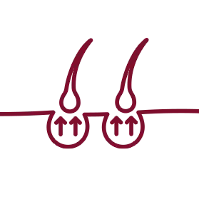 Fördert das Wachstum der Haarfollikel.