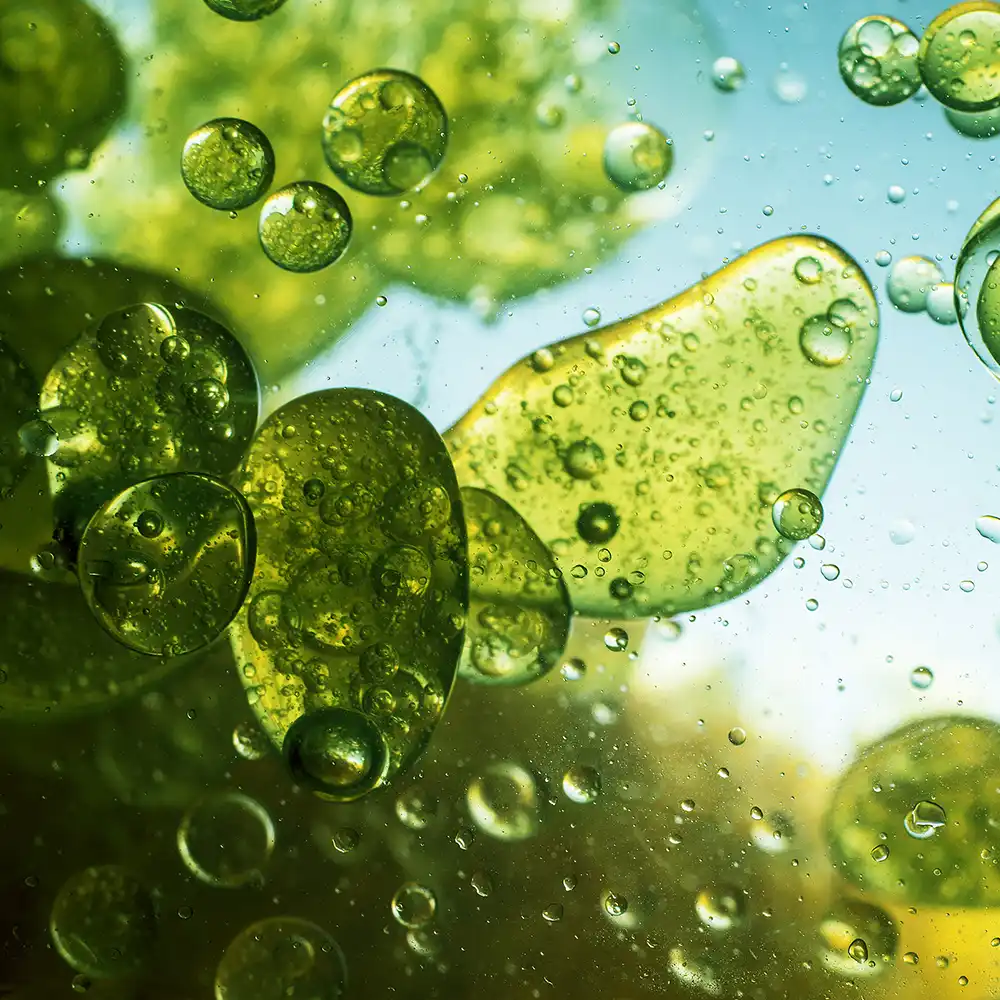 Anti-Falten-Kräuterkomplex