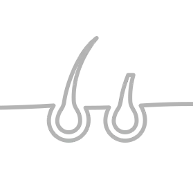 Es nährt die Haarsträhnen, die ausfallen und denen es an Volumen fehlt.