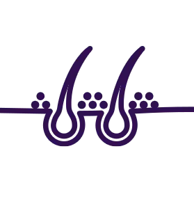 Unterstützt das gesunde Wachstum der Haare.