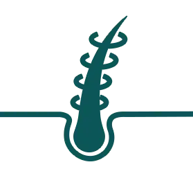 Schützt vor Schäden.