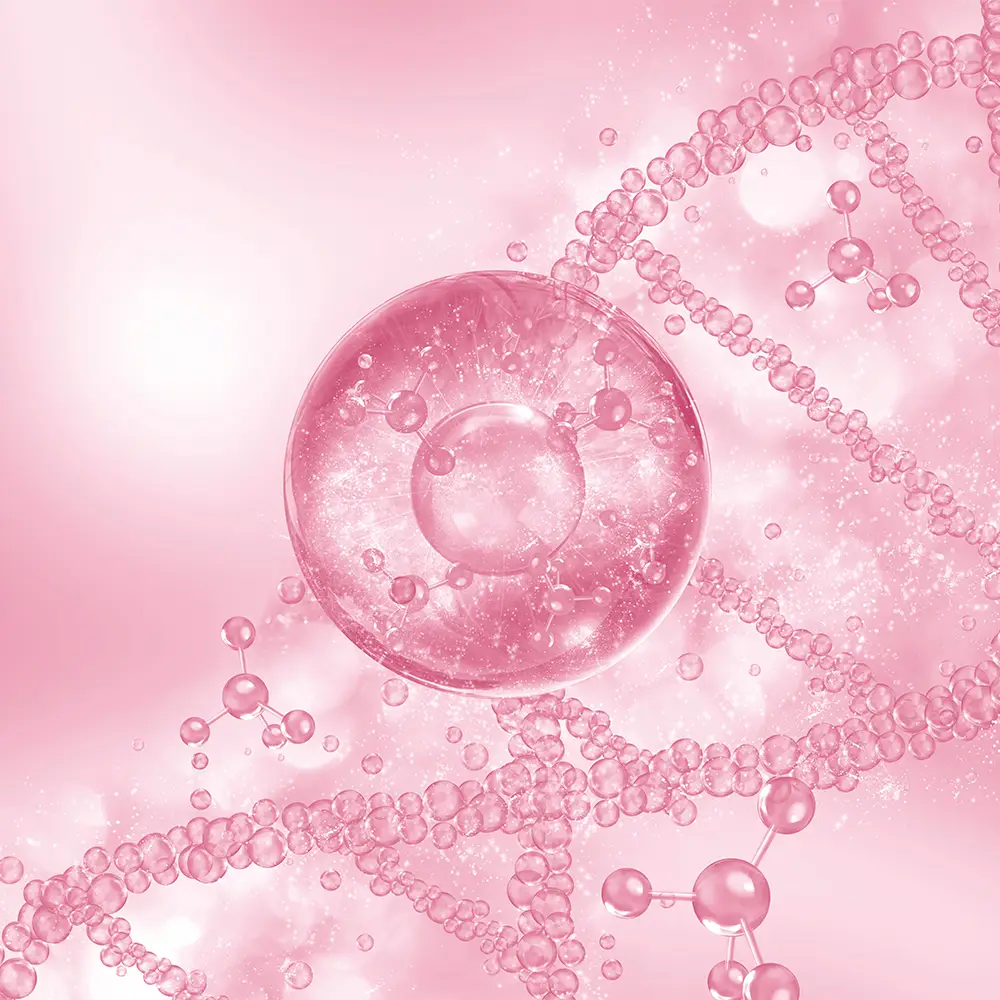 HYDROLYSIERTES KOLLAGEN